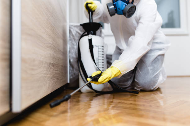 Best Emergency Pest Control  in Leith Hatfield, PA