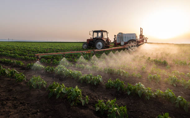 Best Pest Removal Services  in Leith Hatfield, PA