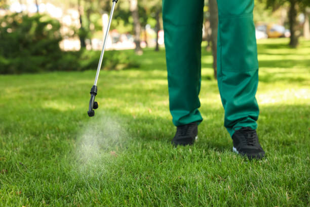 Best Bed Bug Extermination  in Leith Hatfield, PA