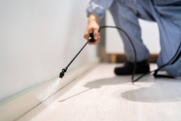 Best Local Pest Control Services  in Leith Hatfield, PA