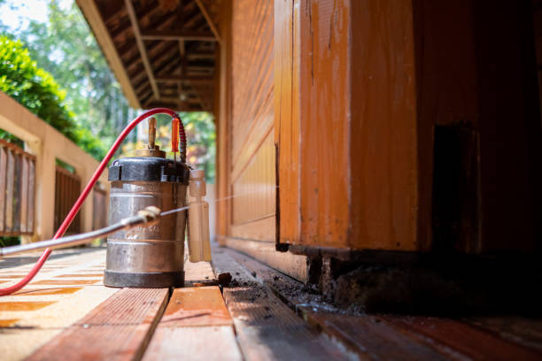 Best Cockroach Control Services  in Leith Hatfield, PA