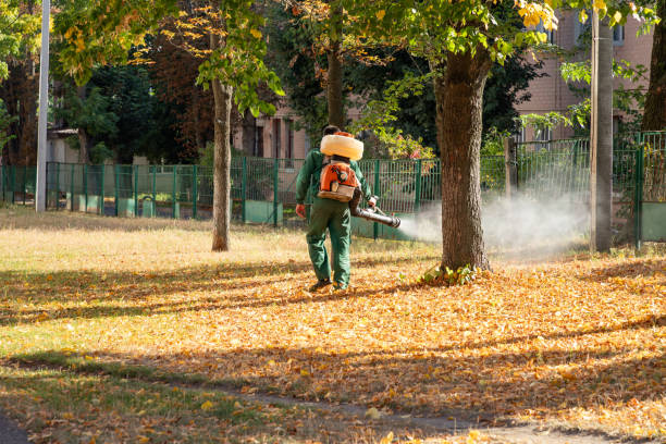 Best Rodent Control Near Me  in Leith Hatfield, PA