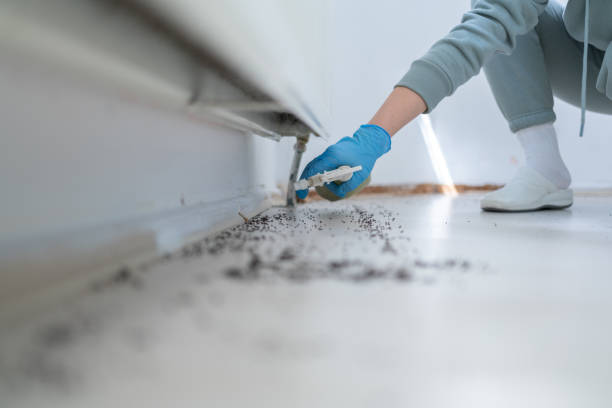 Best Pest Prevention Services  in Leith Hatfield, PA